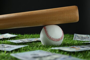 Baseball ball, bat and dollar banknotes on green grass, closeup