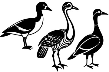 Set of 4 Birds Icon Elements: Wood Duck & Sandhill