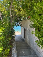 Chemin tropical en vacances