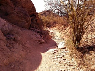 Arizona Desert Mountain Biking Trails