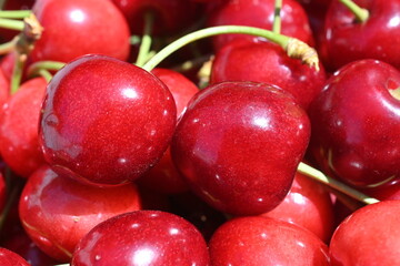 Leuchtend rote Kirschen in Makroaufnahme