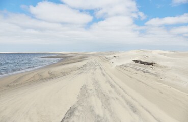 Baja California's Dunas de Soledad