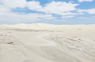 Baja California's Dunas de Soledad