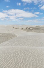 Baja California's Dunas de Soledad