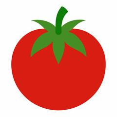 Tomato vector illustration