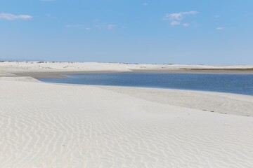 Baja California's Dunas de Soledad