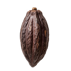 Cacao Nib Plant Tree on a White Transparent Background PNG