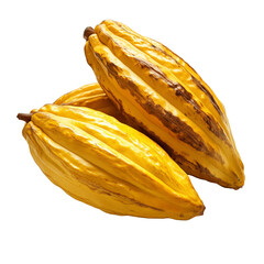 Cacao Nib Plant Tree on a White Transparent Background PNG