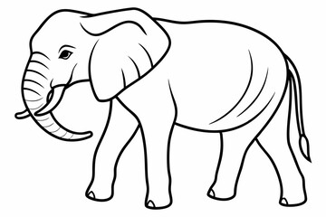 elephant line art vector illustration