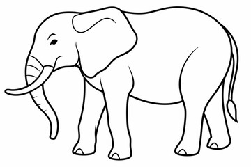 elephant line art vector illustration