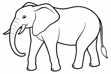 elephant line art vector illustration