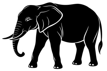 elephant vector silhouette illustration