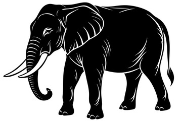 elephant vector silhouette illustration