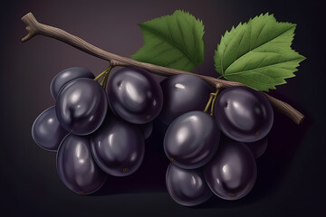 Black Currant with Leaves Illustration.