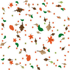 Fototapeta premium many autumn multi-colored leaves