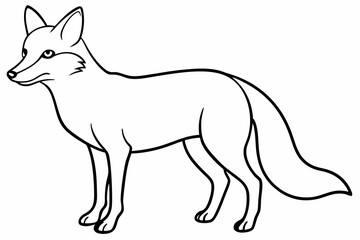 elephant line art vector illustration