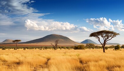 Fototapeta premium savannah natural landscape, AI generated
