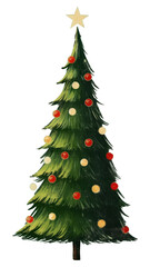 Fototapeta premium PNG Illustration christmas tree plant.