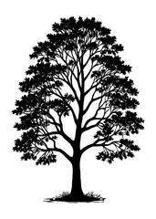 Obraz premium Tree . Black and white botanical pattern. For use in graphics, materials. Abstract plant shapes. Minimalist illustration for printing on wall decorations. Generated by Ai