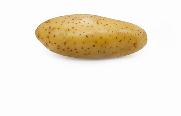 Single Raw potato on white background with copy space for banner, advertising, food market,...