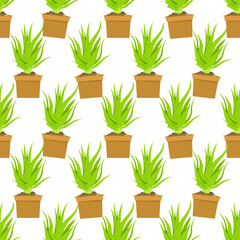 Seamless pattern of Aloe vera in pots