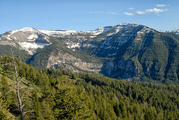 Fototapeta premium Snowcapped mountains in Grand Targhee Resort
