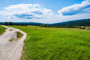 Trail path and road along green meadows with spruce trees on Hala Izerska on sunny spring day, Jizera Mountains, Lower Silesia, Poland