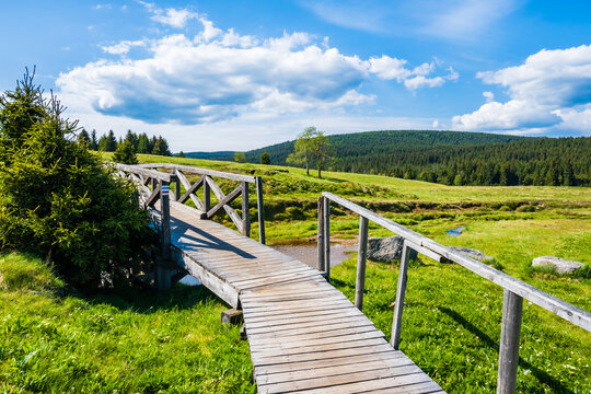 Wooden bridge over Izera river and green meadows with spruce trees on Hala Izerska on sunny spring day, Jizera Mountains, Lower Silesia, Poland