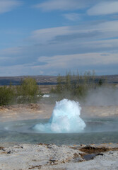 Eruption of a Geysir in Iceland in a hyperthermia area 