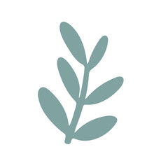 Teal-colored leaves on a white background