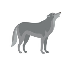 Vector flat hand drawn wolf isolated on white background
