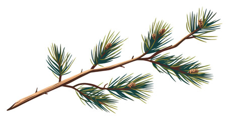 PNG Pine branch plant tree fir.