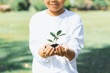 Promoting eco awareness on reforestation and long-term environmental sustainability with asian boy...