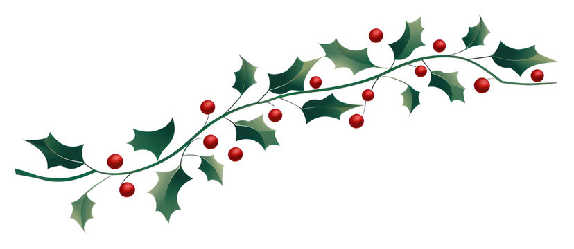 recommend clip art: PNG Holly plant green leaf.