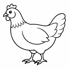 Dibujo de una gallina real line art vector