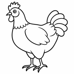 Dibujo de una gallina real line art vector