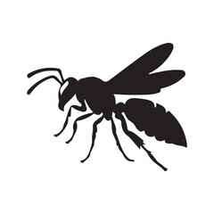 illustration of a scorpion