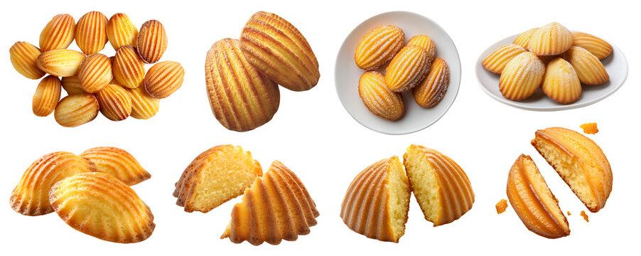 French Madeleine Sponge butter shell shape little cake pastry dessert on transparent cutout, PNG file. Many assorted different angles, stack, broken, plate, pile. Mockup template for artwork design