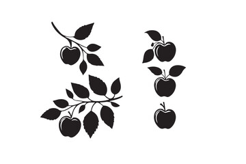 black and white apple