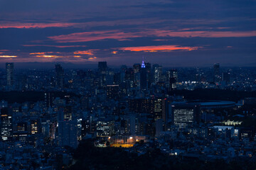 Fototapeta premium Tokyo Sky Line