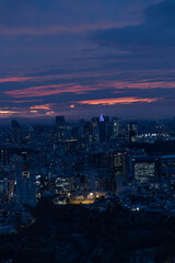 Obraz premium Tokyo Sky Line