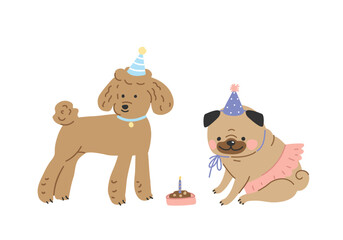 dogs pug and poodle celebrate birthday. cartoon vector illustrations flat style.