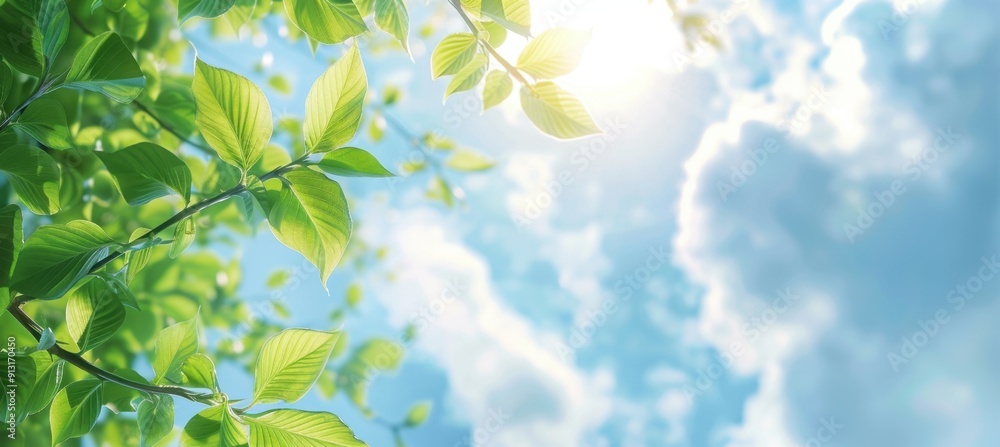 Poster green leaves with a blue sky and white clouds in the background banner wide format with sun rays and