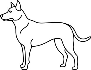 Outline Drawing of a Dog in Standing Position