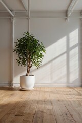A large plant sits in a white pot on a wooden floor