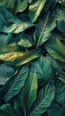 Close-Up of Green Leaves