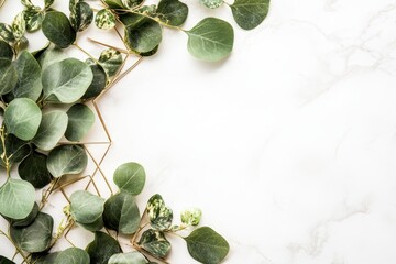Fototapeta premium Green ivy leaves climbing on a textured white wall, symbolizing nature and tranquility.