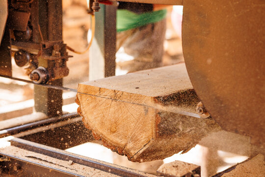 Close-up of sawing logs with a band saw at a sawmill
