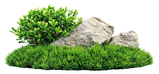 Natural landscape featuring rocks and greenery in a garden setting, cut out