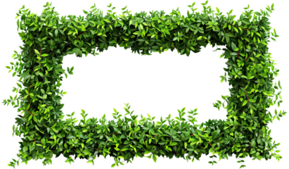Lush green leaves forming a natural frame, cut out